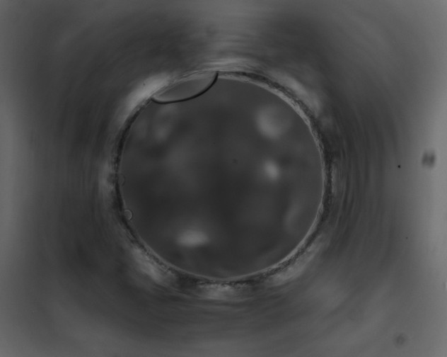 X0000102481405200808081254