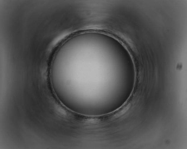 X0000102481406200808081254