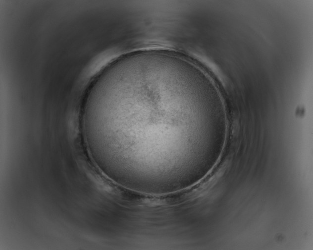 X0000102481407200808081254