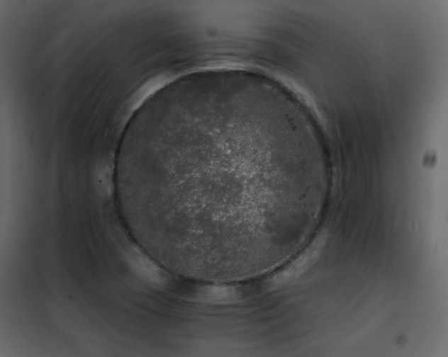 X0000102481409200808081254