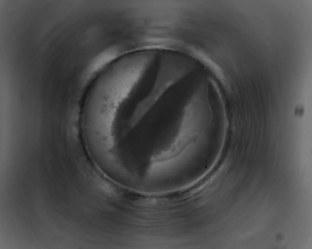X0000102481411200808081254