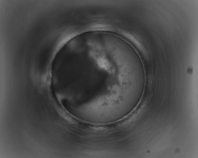 X0000102481413200808081254