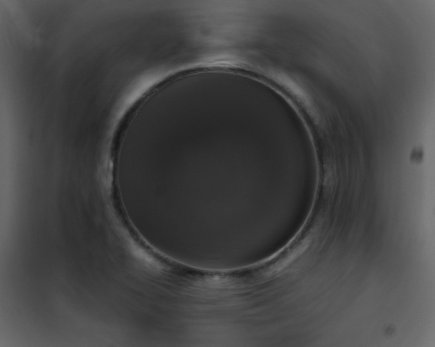 X0000102481414200808081254