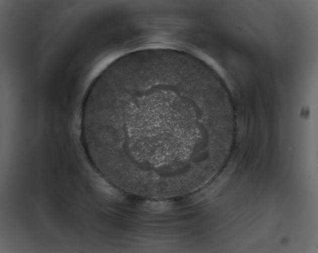 X0000102481415200808081254