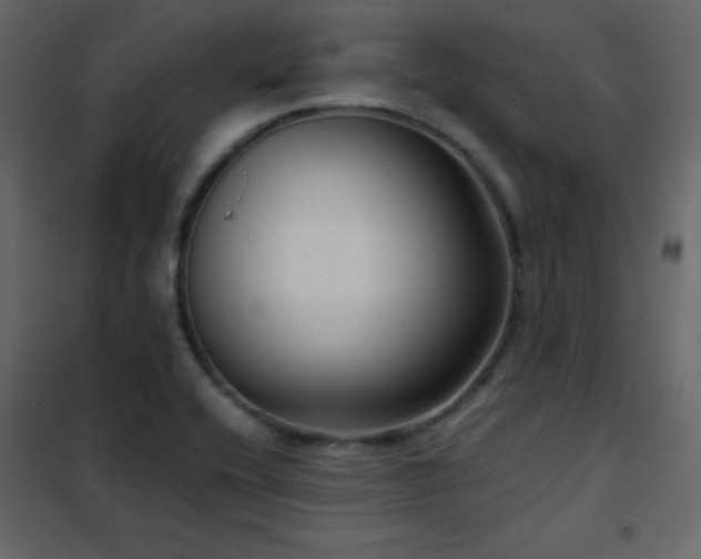 X0000102481416200808081254