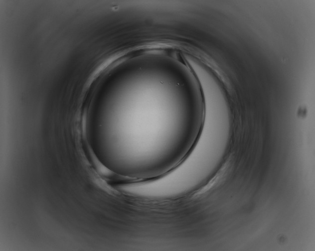 X0000102481417200808081254