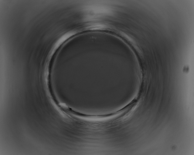 X0000102481418200808081255