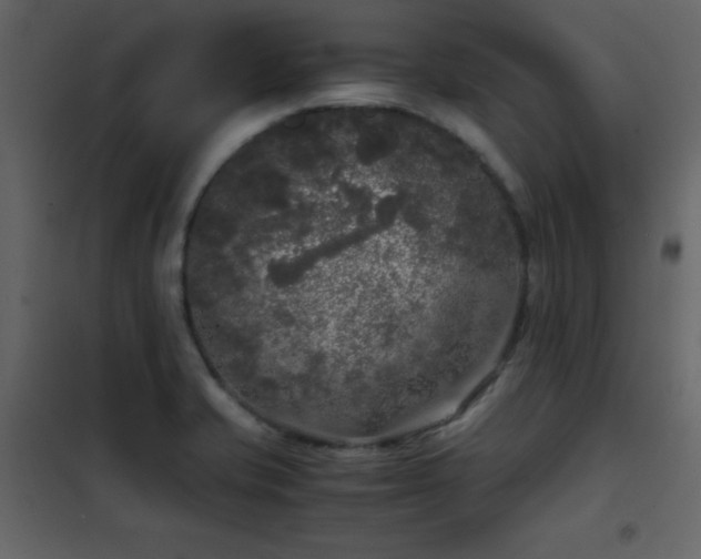 X0000102481421200808081255