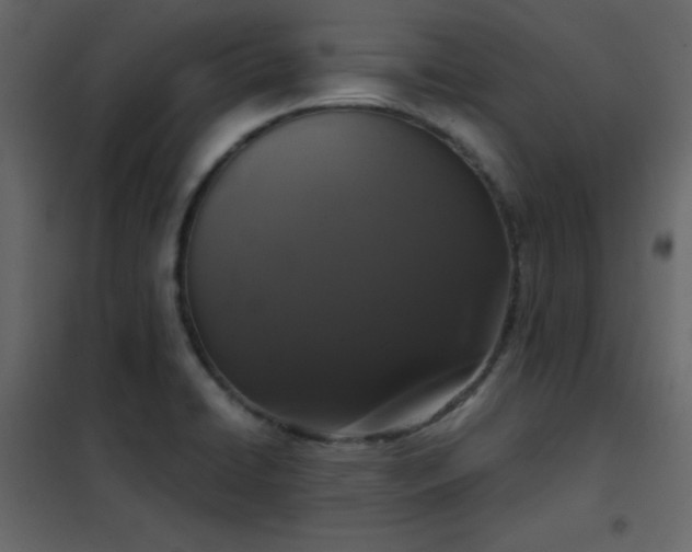 X0000102481422200808081255