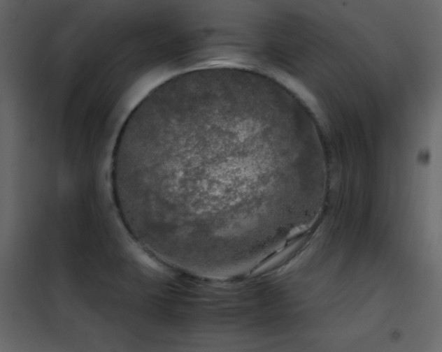 X0000102481423200808081255