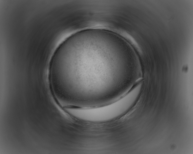 X0000102481424200808081255