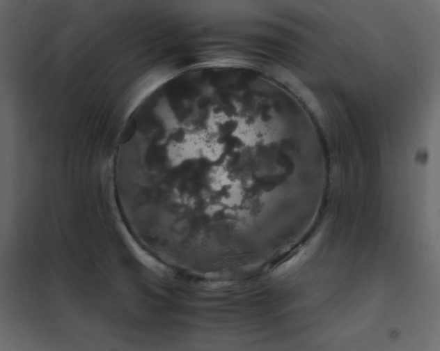 X0000102481425200808081255