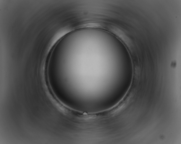 X0000102481426200808081255