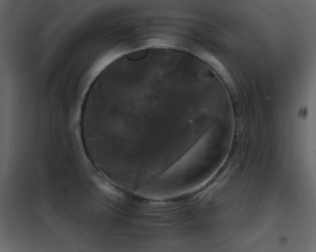 X0000102481427200808081255