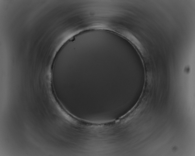 X0000102481428200808081255