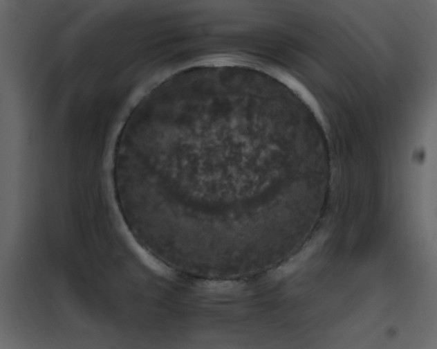 X0000102481429200808081255