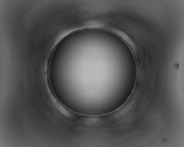 X0000102481431200808081255