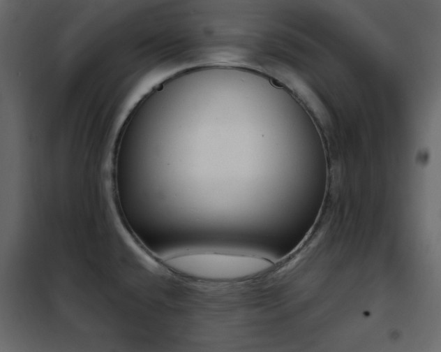 X0000102481432200808081255