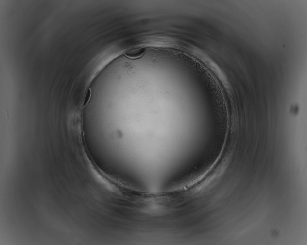 X0000102481433200808081255