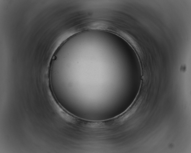 X0000102481434200808081255
