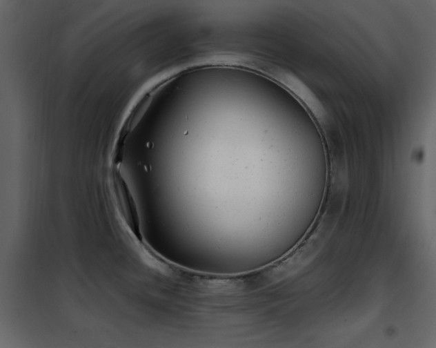 X0000102481436200808081255