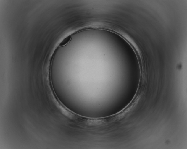 X0000102481437200808081255