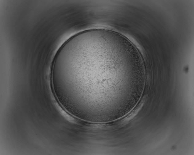 X0000102481438200808081255