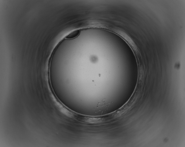 X0000102481439200808081255