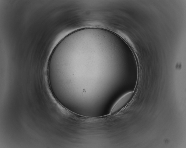 X0000102481440200808081255