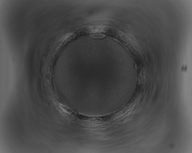 X0000102481441200808081254