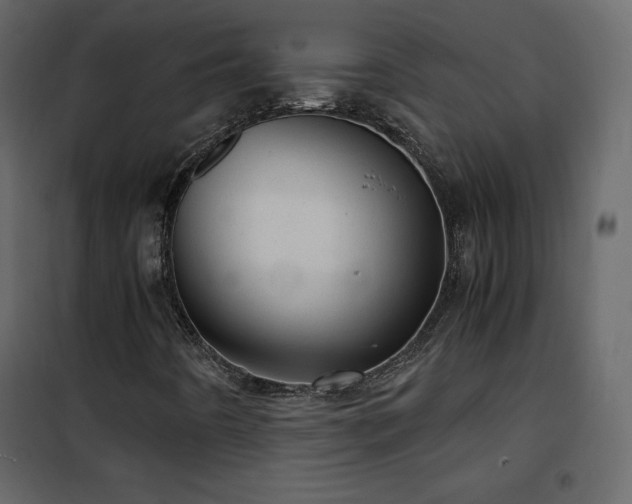 X0000102481442200808081254