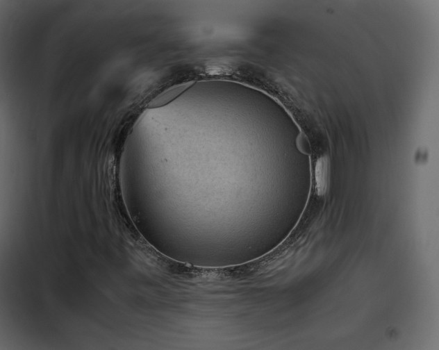 X0000102481443200808081254