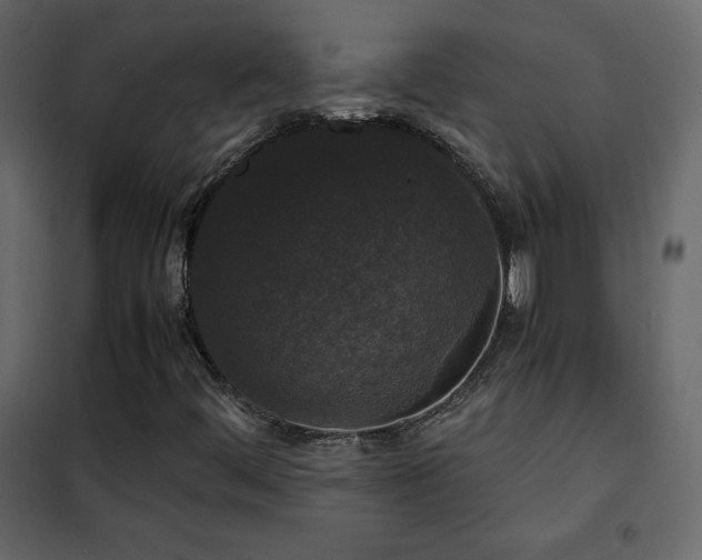 X0000102481444200808081254