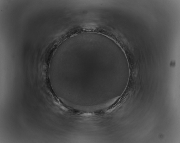 X0000102481445200808081254