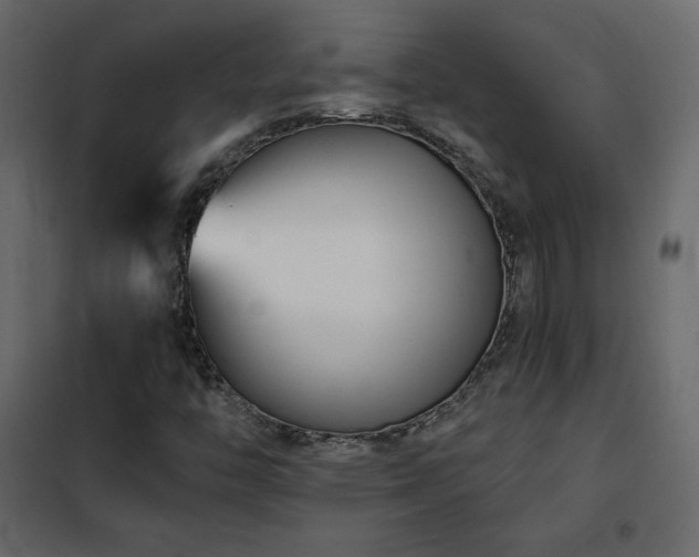 X0000102481446200808081254