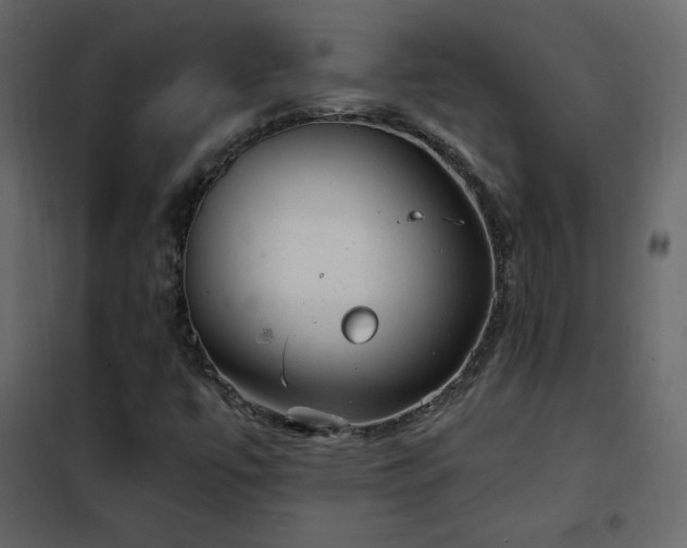 X0000102481447200808081254