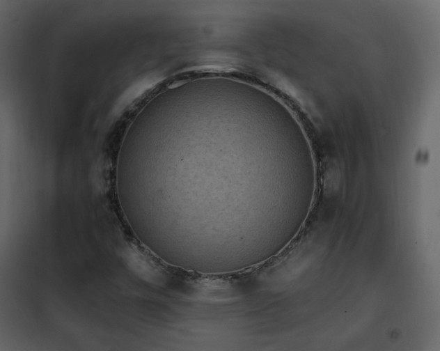 X0000102481448200808081254