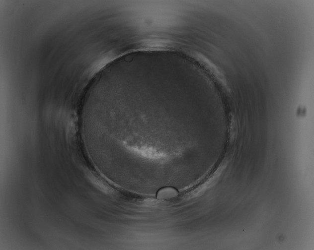 X0000102481449200808081254