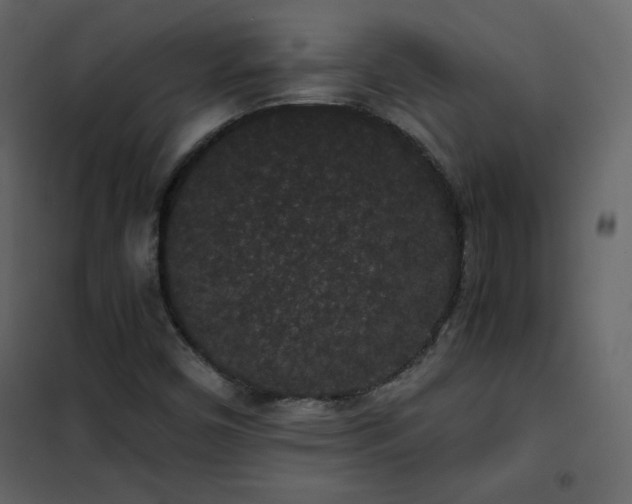 X0000102481450200808081254