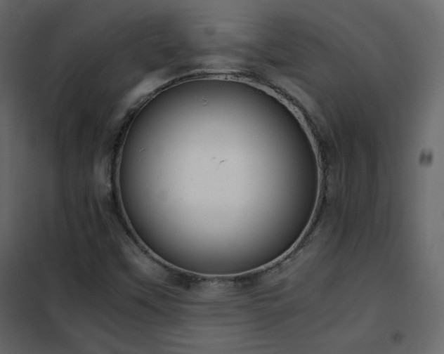 X0000102481451200808081254