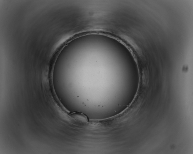 X0000102481452200808081254