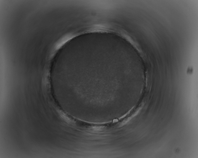 X0000102481453200808081254