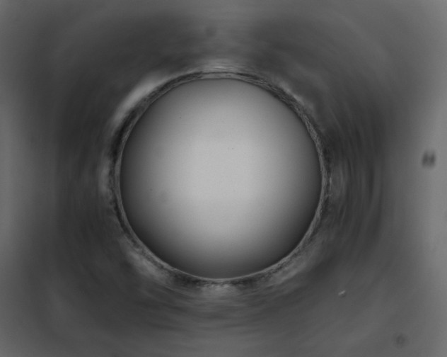 X0000102481454200808081254