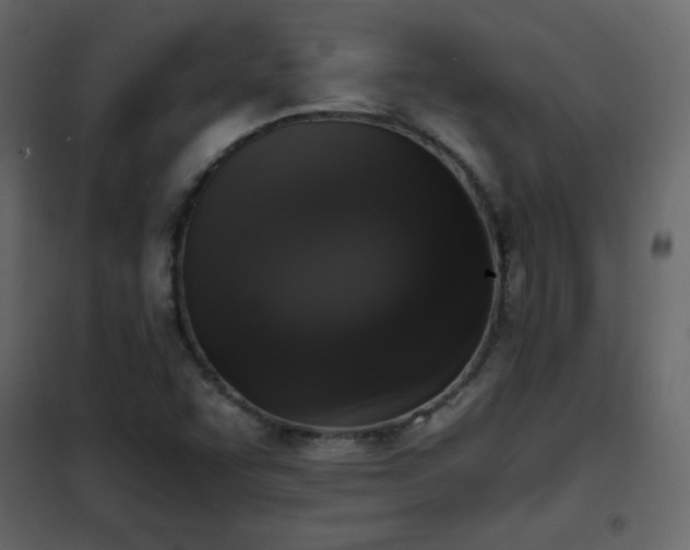 X0000102481455200808081254