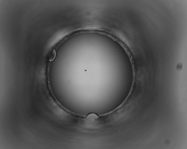 X0000102481456200808081254