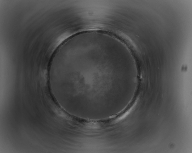 X0000102481457200808081254