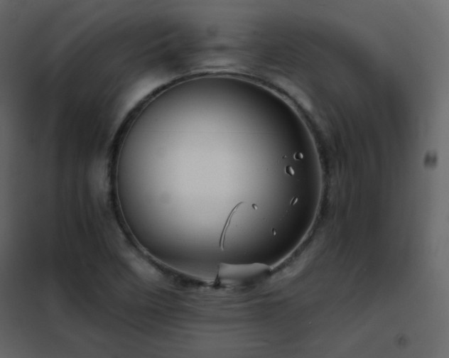 X0000102481458200808081254