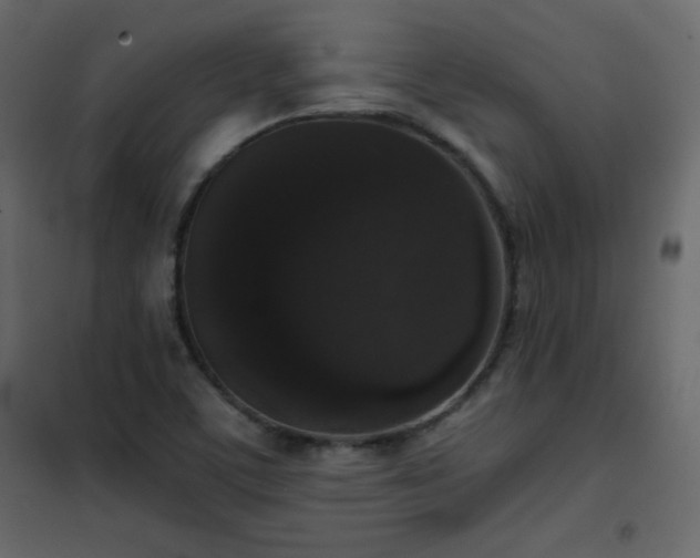 X0000102481459200808081254