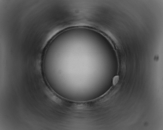 X0000102481460200808081254