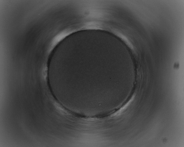 X0000102481461200808081254